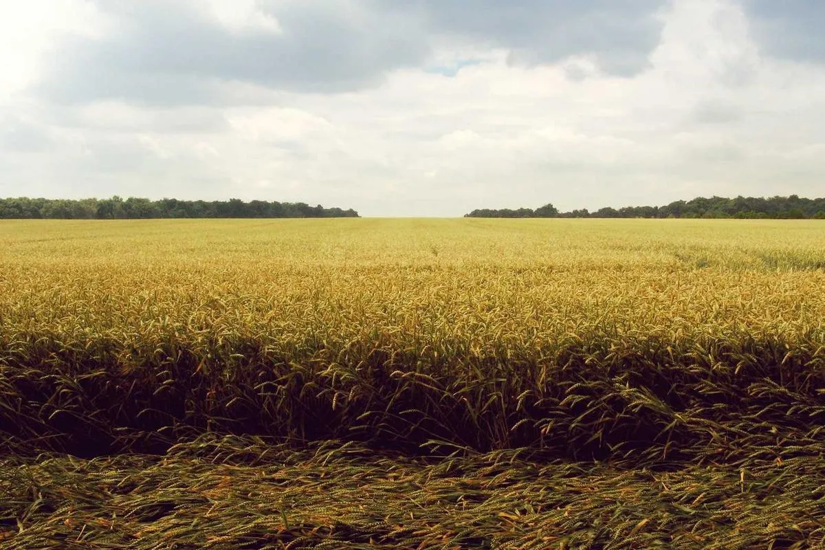 Diingatkan, Tidak Layak Prabowo Hadir Diacara Projo Yang Ketumnya Dipecat