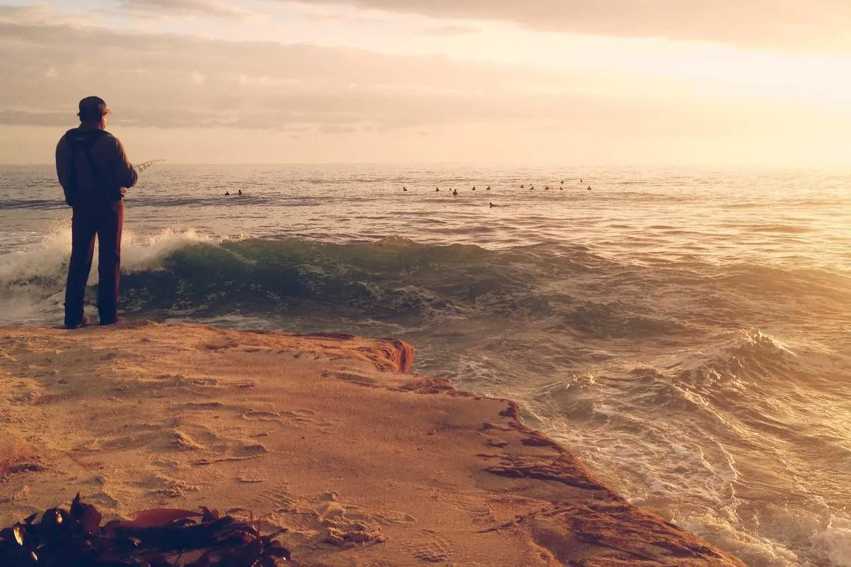 Dua Rumah Rusak Tertimpa Pohon di Sleman