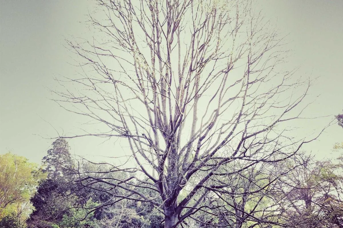 G7 Summit 2026: Kesepakatan Global Akselerasi Infrastruktur Hijau dan Digital untuk Negara Berkembang