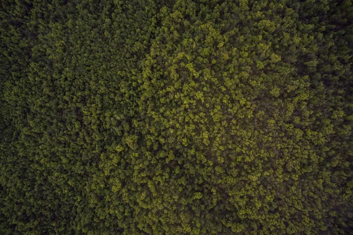 Tragedi Bocah Sukabumi: Alarm Kegagalan Negara Melindungi Warga Termiskin