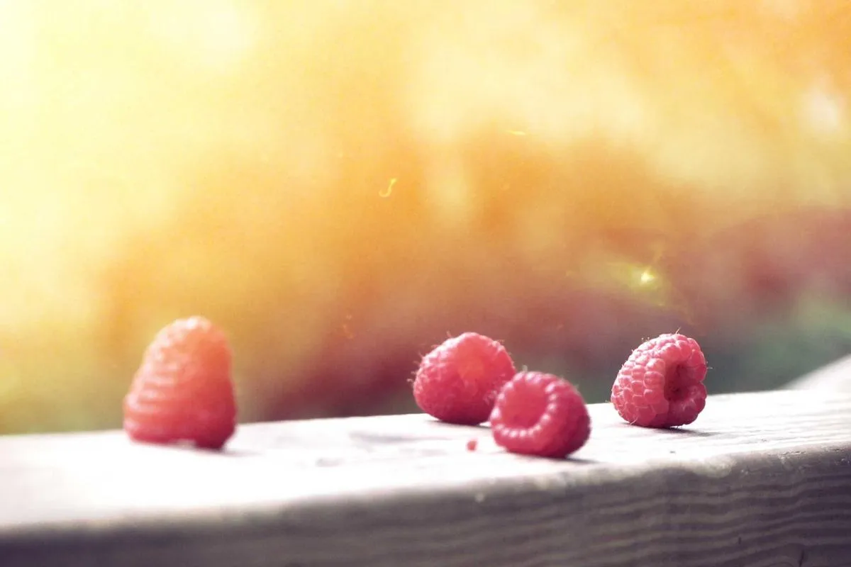 10 Tips SEO untuk Mengembangkan Video di YouTube Shorts