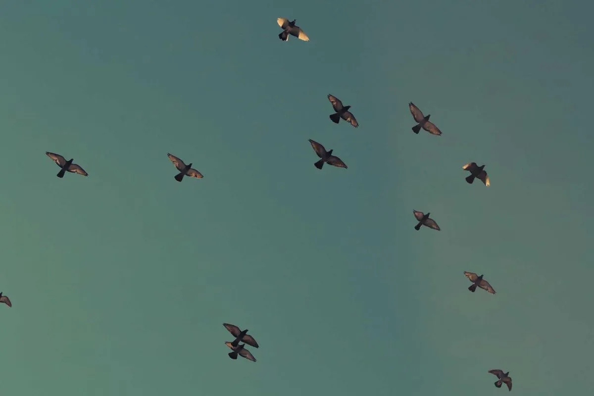 TEROBOSAN BERSEJARAH! KORIDOR BARU TRANS JATIM SIAP UBAH WAJAH MOBILITAS JAWA TIMUR, TEKAN MACET DAN PACU EKONOMI