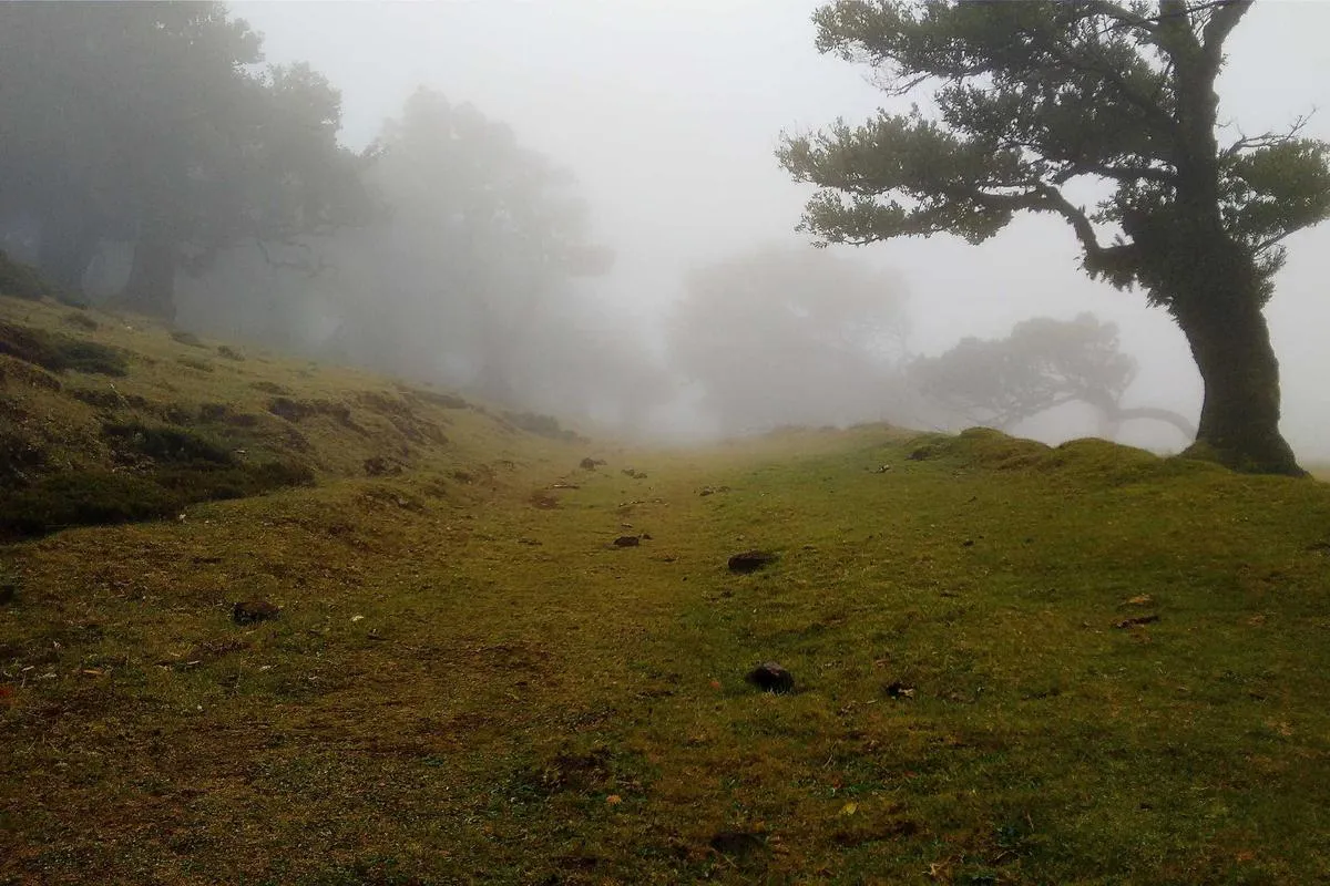 Gebrakan AWMI di Prambanan, Muaythai Angkat Kunjungan Wisata dan Ekonomi Lokal!