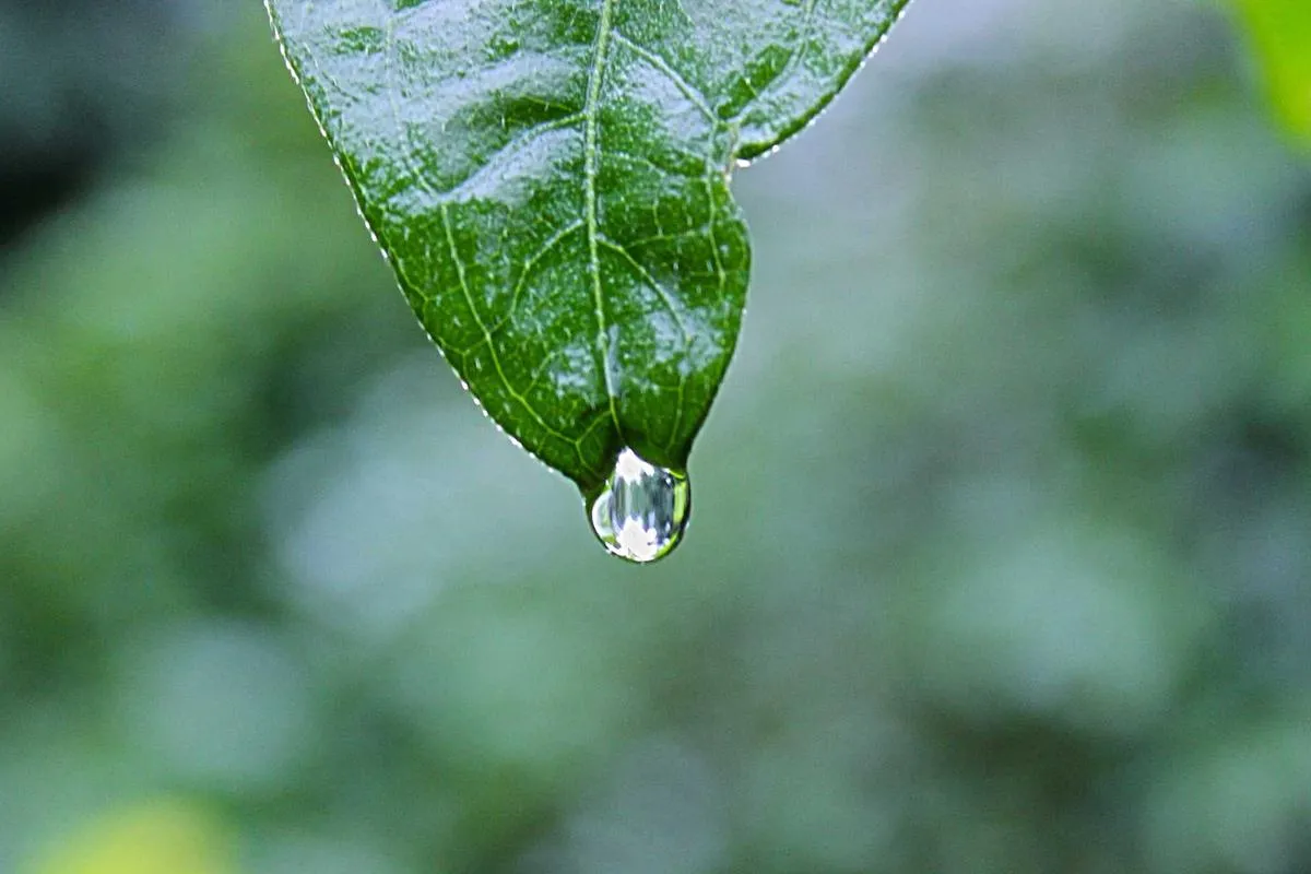 Tidur Lebih Malam Ternyata Membuat Anda Lebih Kreatif