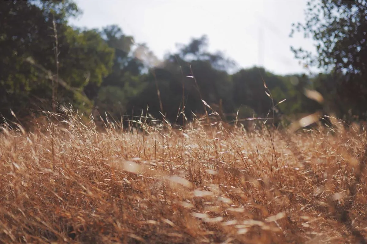 Ada Revisi Undang-undang, Ahok Terancam Tak Ikut Pilgub DKI 2017?