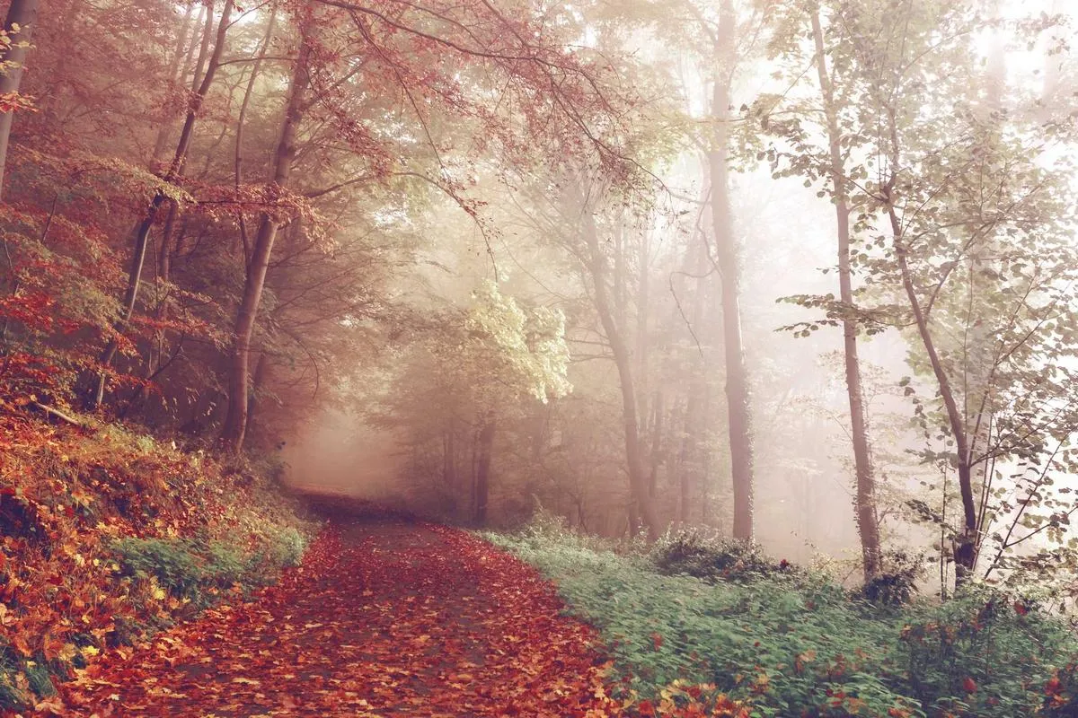 Wisata Medis Bali 2026: Pembukaan Mayo Clinic Collaboration Center di Sanur