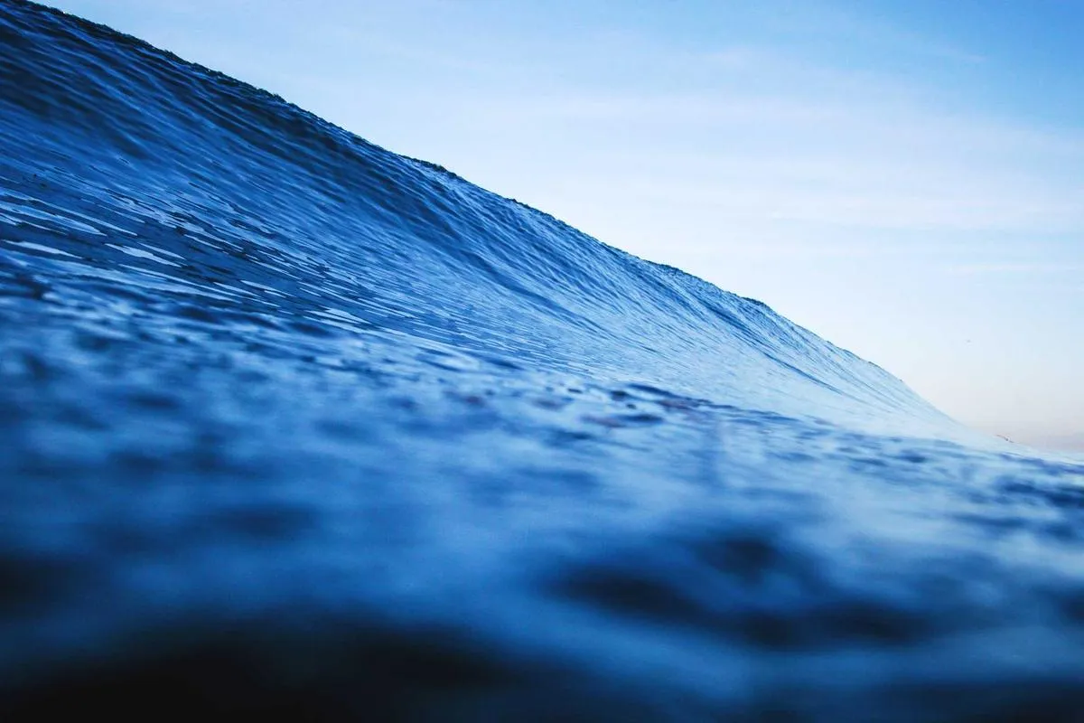 Terkena Infeksi Bakteri, Mantan Presiden BJ Habibie Boleh Pulang