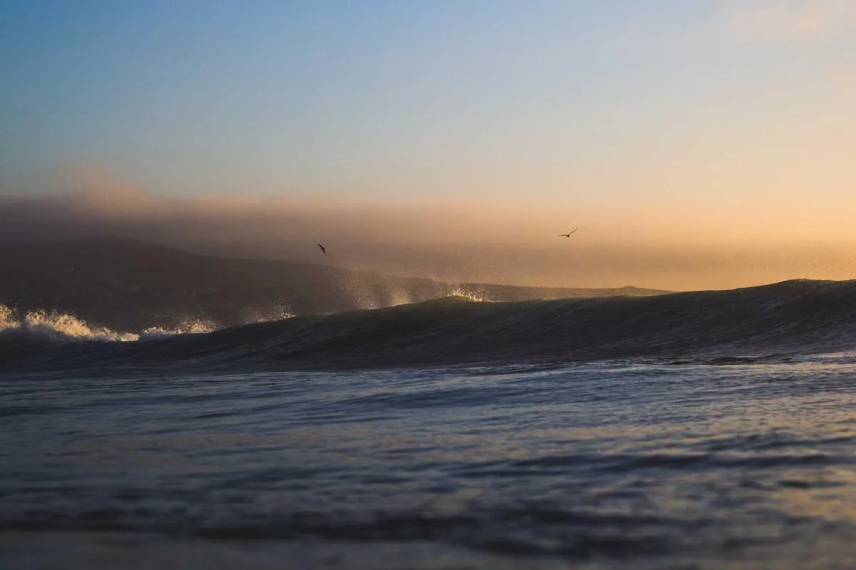 Revolusi Karier Batam: Bagaimana Talenta Lokal Bisa Raih Panggung Remote Global?