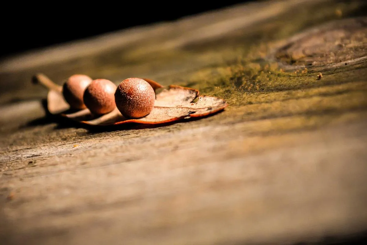 Melejitkan Potensi Bandung: Strategi Revolusioner Menuju Karir Global Tanpa Batas!