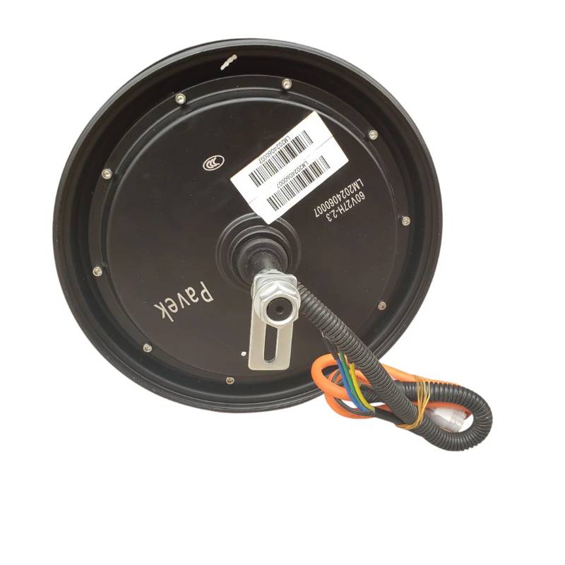 Pavek 1200-Watts Motor for Electric Motorcycles