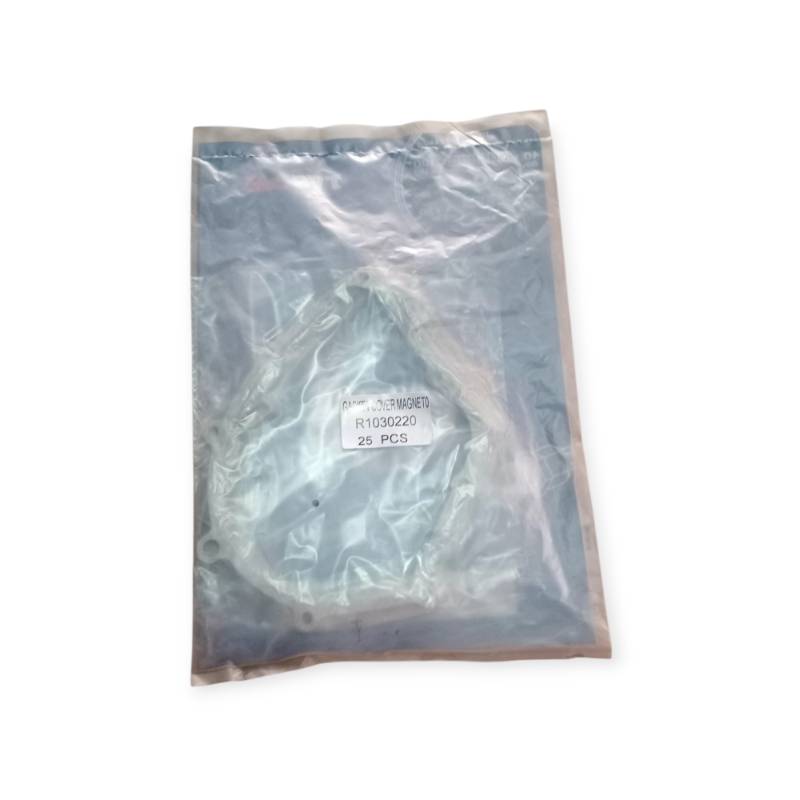 MAGNATOR GASKET TVS NE110