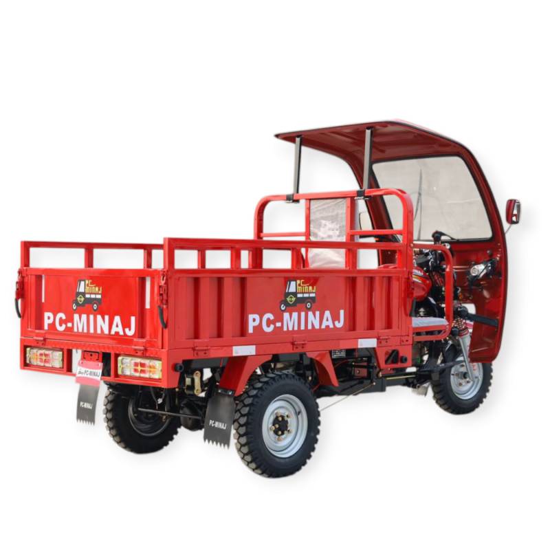 Tricycle with carbin