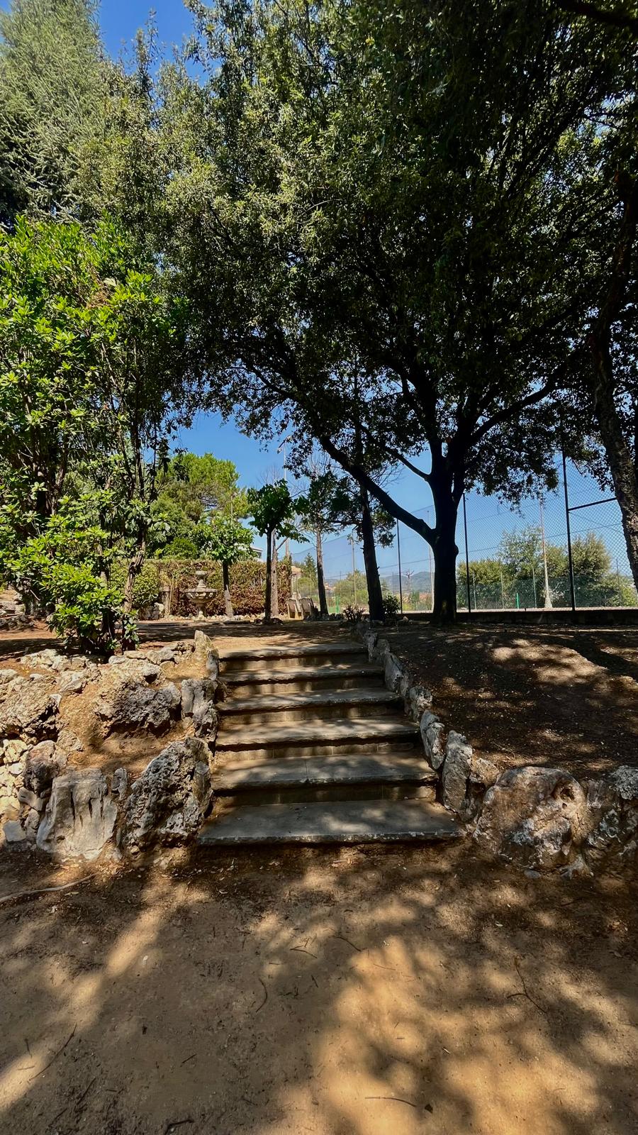 Un cotxe clàssic arriba a l'entrada del lloc de la preboda.