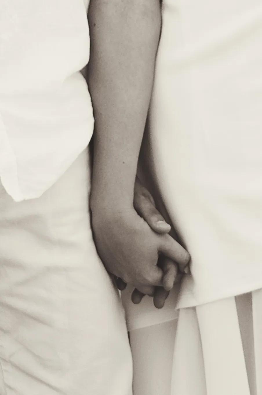 Descripció de la imatge 21