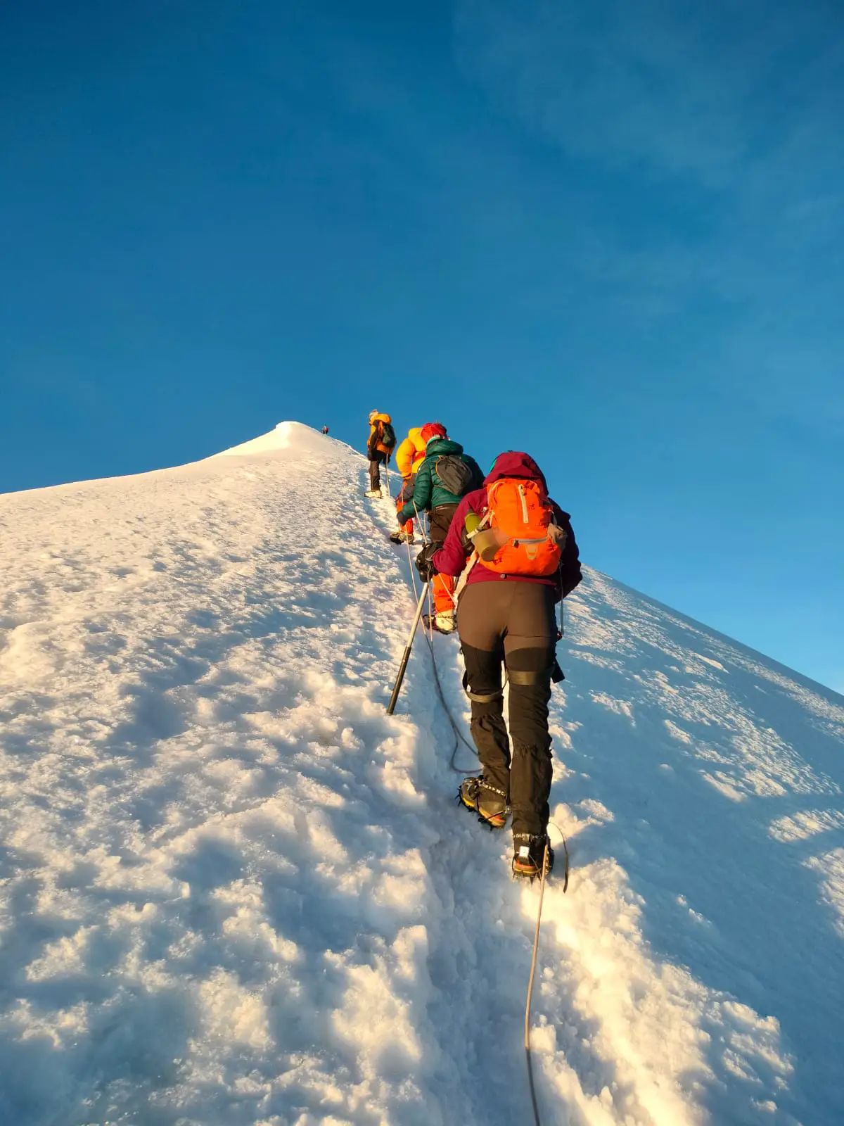 Summit view from Kang Yatse 2 overlooking the Himalayas