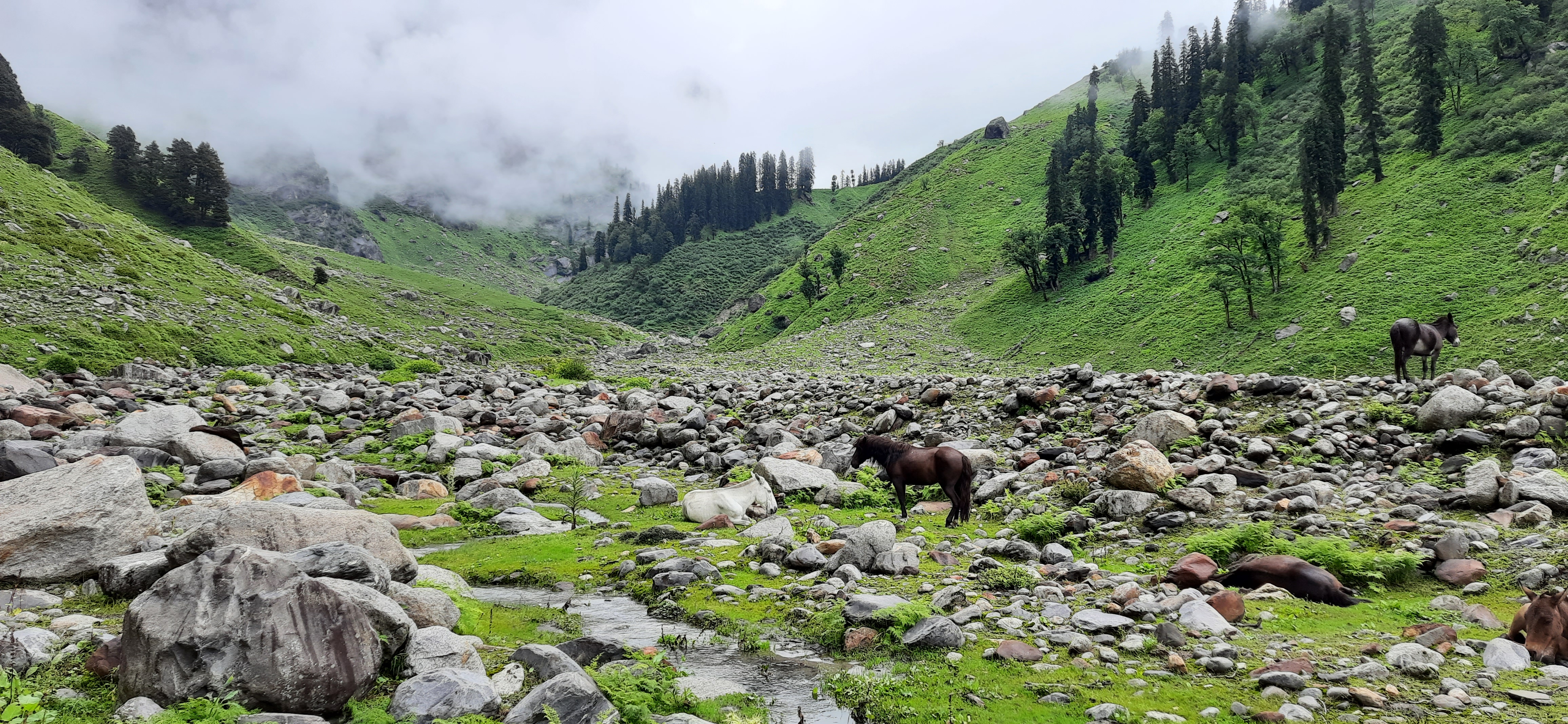 Panoramic view from the summit of hampta pass, showing the vast Himalayan landscape.