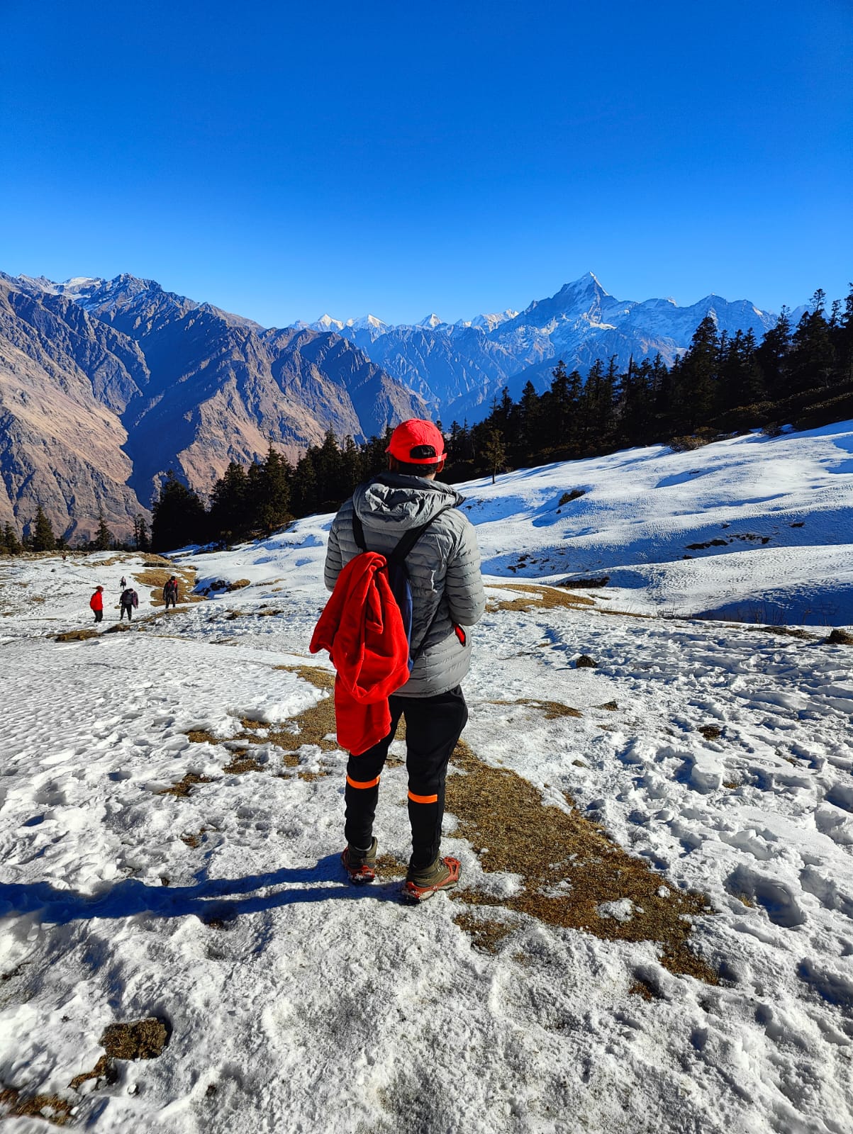 Panoramic view from the summit of kuari pass, showing the vast Himalayan landscape.
