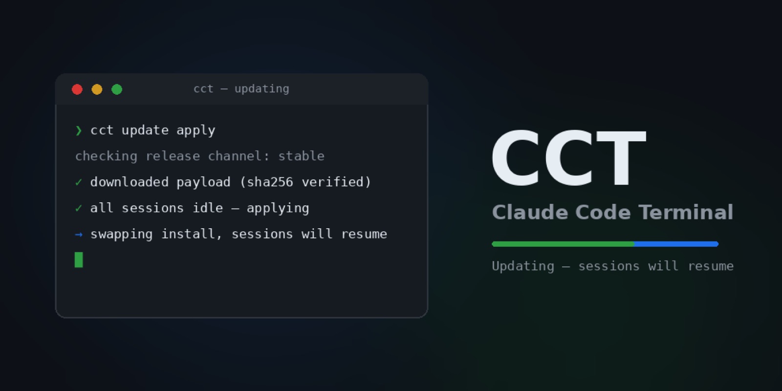 Cover image for Claude Code Terminal