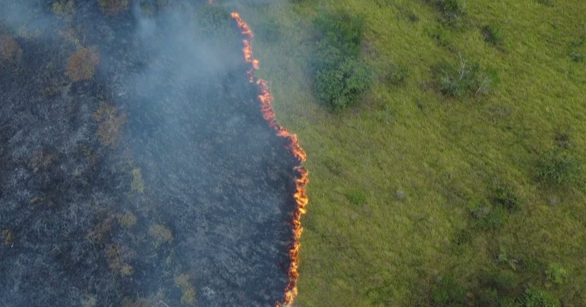 Brasil aprova Plano Clima até 2035, mas implementação setorial é o grande desafio