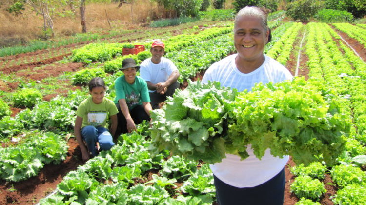 CMN Amplia Socorro a Produtores Afetados pelo Clima e Ajusta Normas Ambientais para Crédito Rural