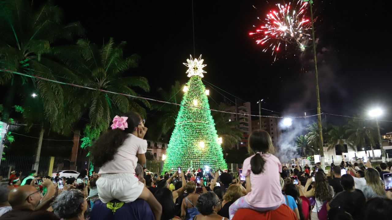 CSU do Parque 10 ganha Árvore Viva com cinco mil mudas na decoração de Natal