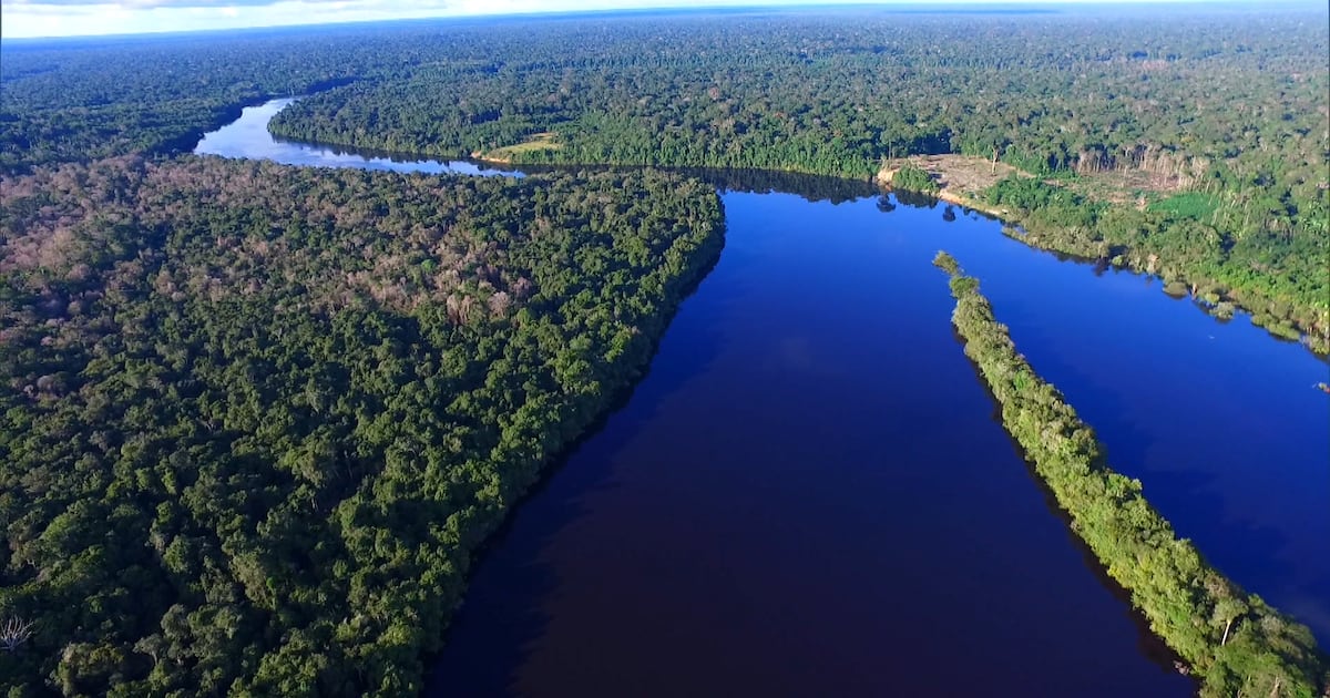 Inaugurado em Rondônia o primeiro Centro de Clima e Saúde focado na Amazônia, visando fortalecer o SUS contra impactos climáticos