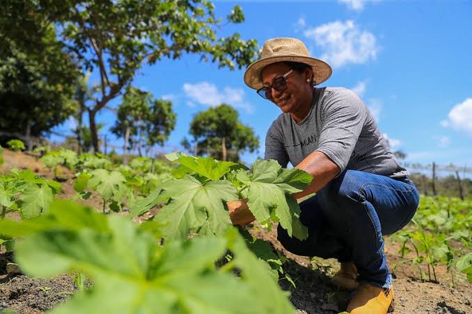 Projeto de agricultura familiar focado em sustentabilidade é levado a produtores rurais de Iranduba e Rio Preto da Eva