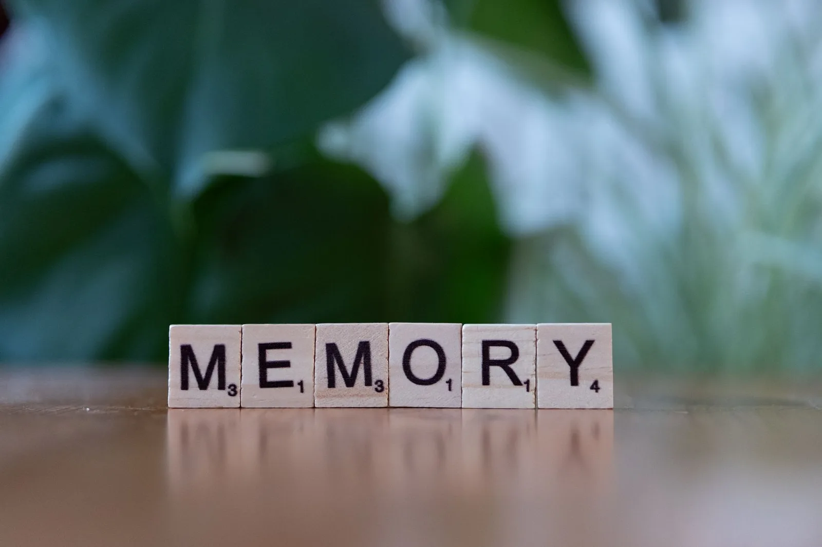The Cellular Cleanup Secret to Lifelong Mental Sharpness