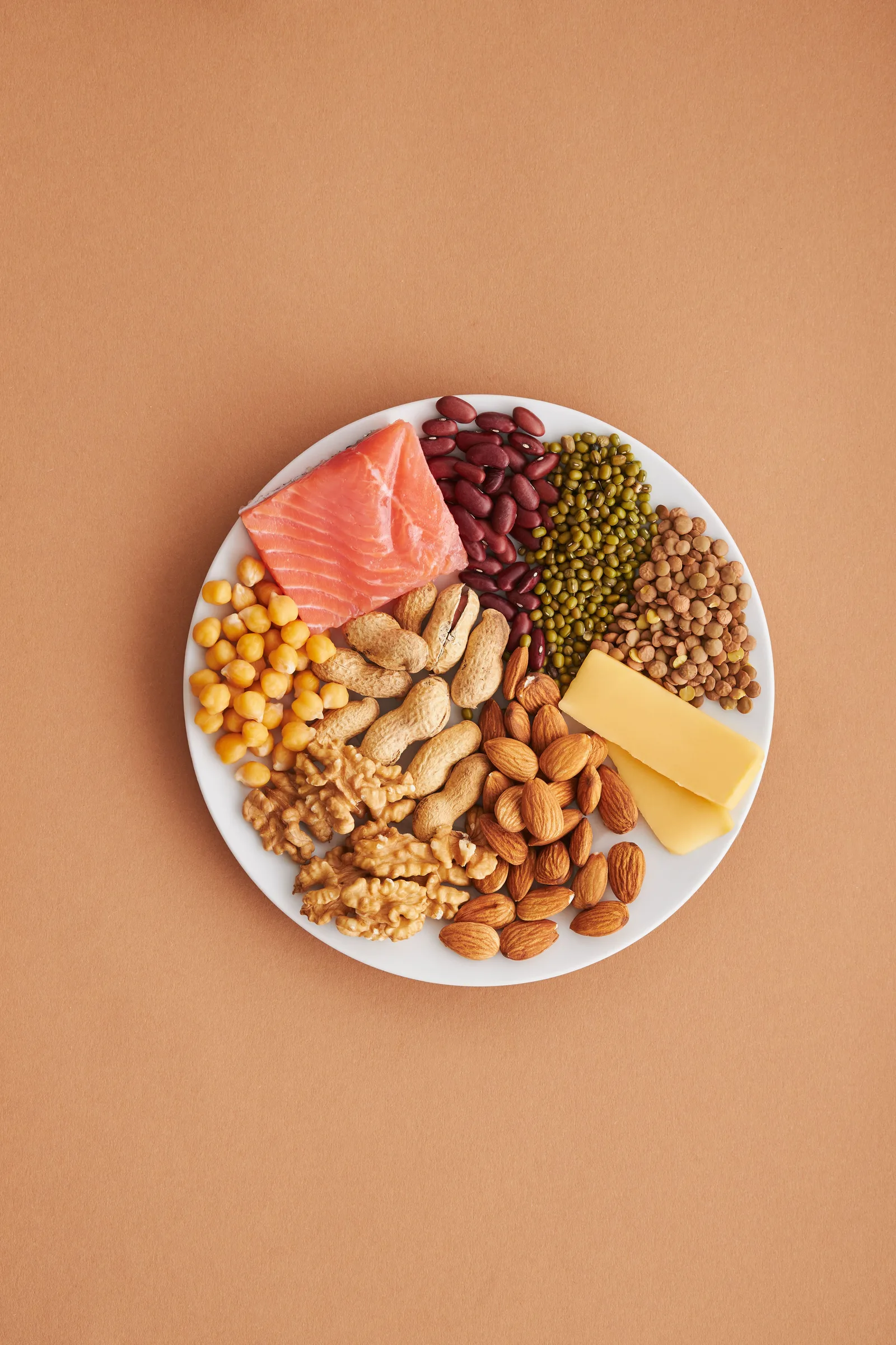 The Cellular Portfolio: Why Swapping Your Protein Sources Is the Ultimate Longevity Hedge