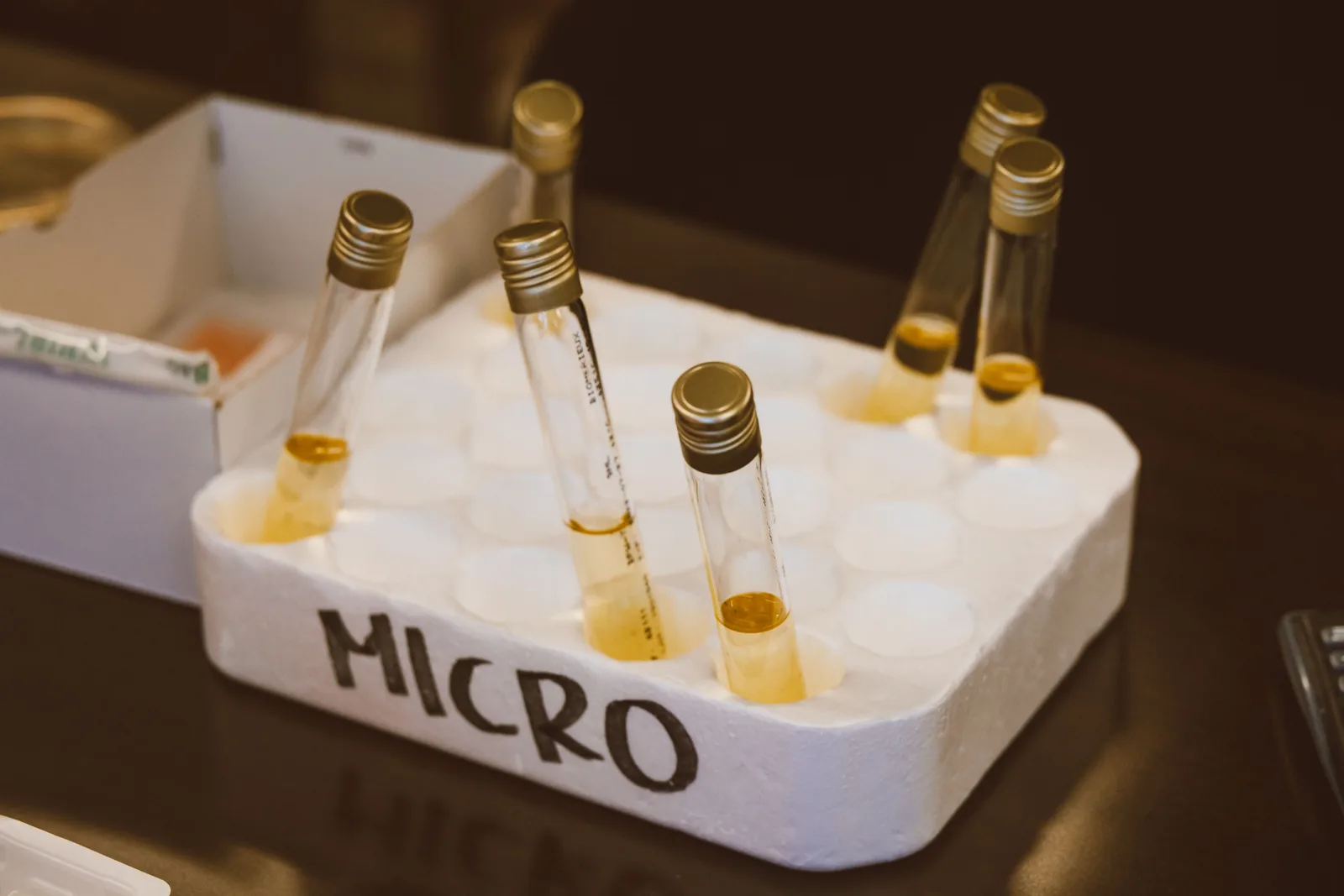 RNA Biological Age Testing: Is the New Pasta Clock Safe?