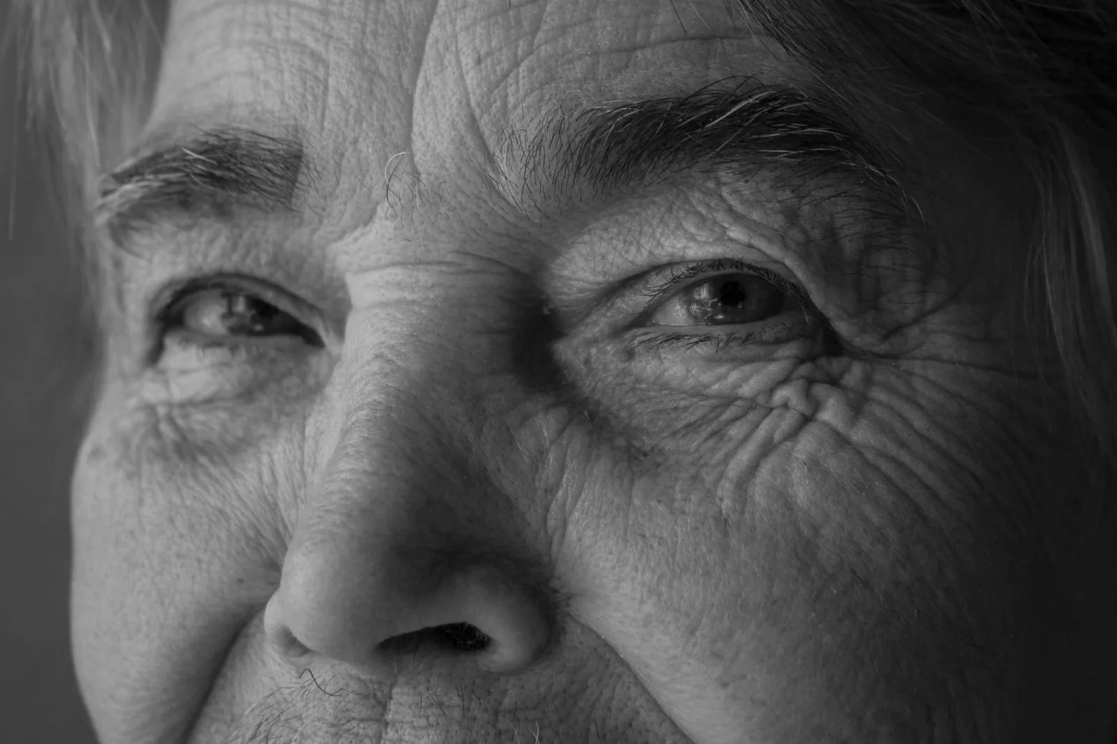 The Last-Mile Delivery of Human Longevity: What Your Eye Reveals About Your Heart and Cardiovascular Edge