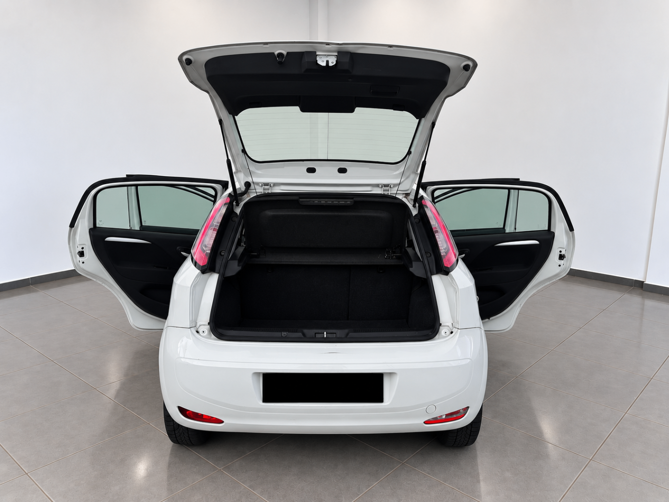 Fiat Punto EVO  Metano
