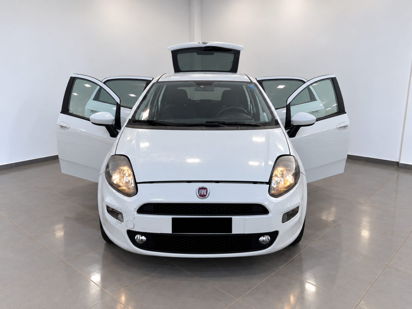 Fiat Punto EVO  Metano