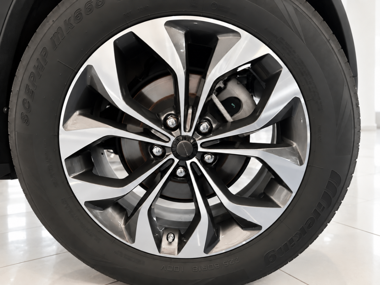 Cirelli 3 SPORT GPL