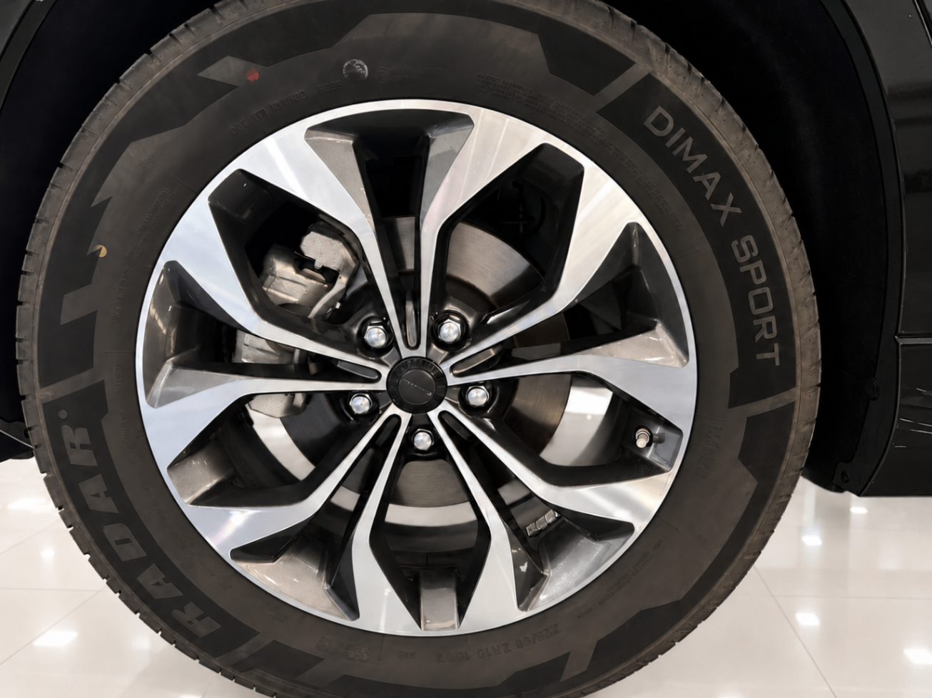Cirelli 3 SPORT GPL
