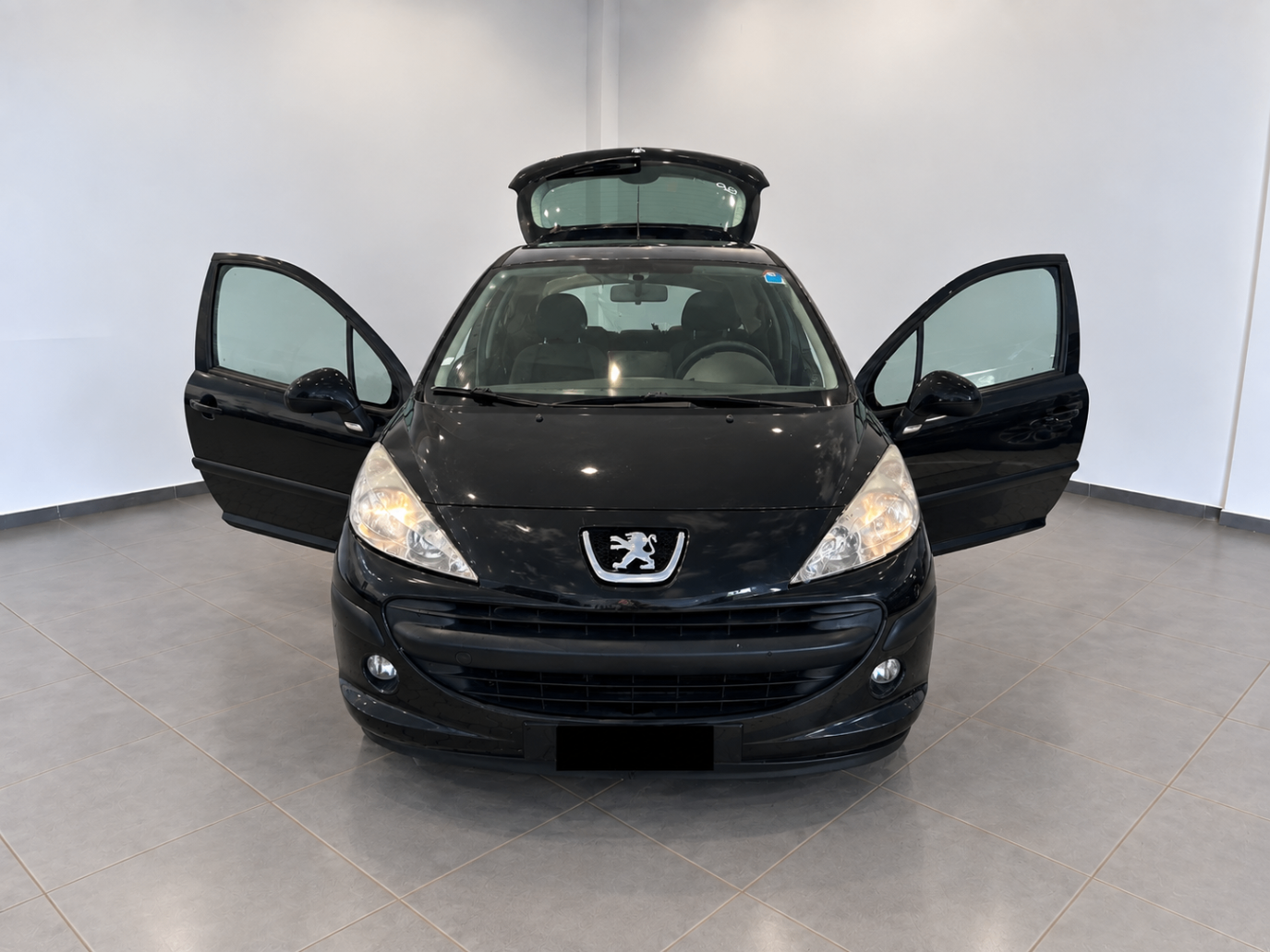 Peugeot 207 Bi-Fuel
