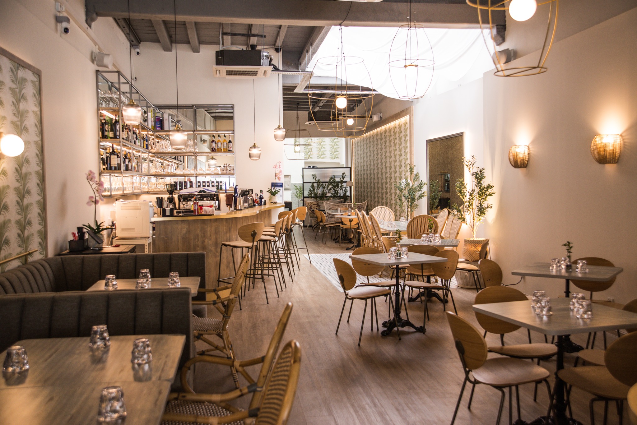 Choux Choux - Pet-friendly cafe in George Town - Photo 3