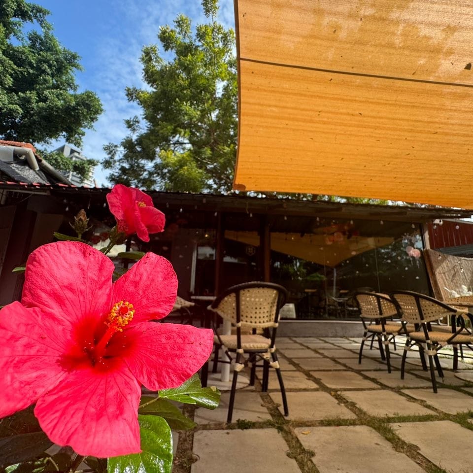 Paradiso Cafe - Pet-friendly cafe in George Town - Photo 3