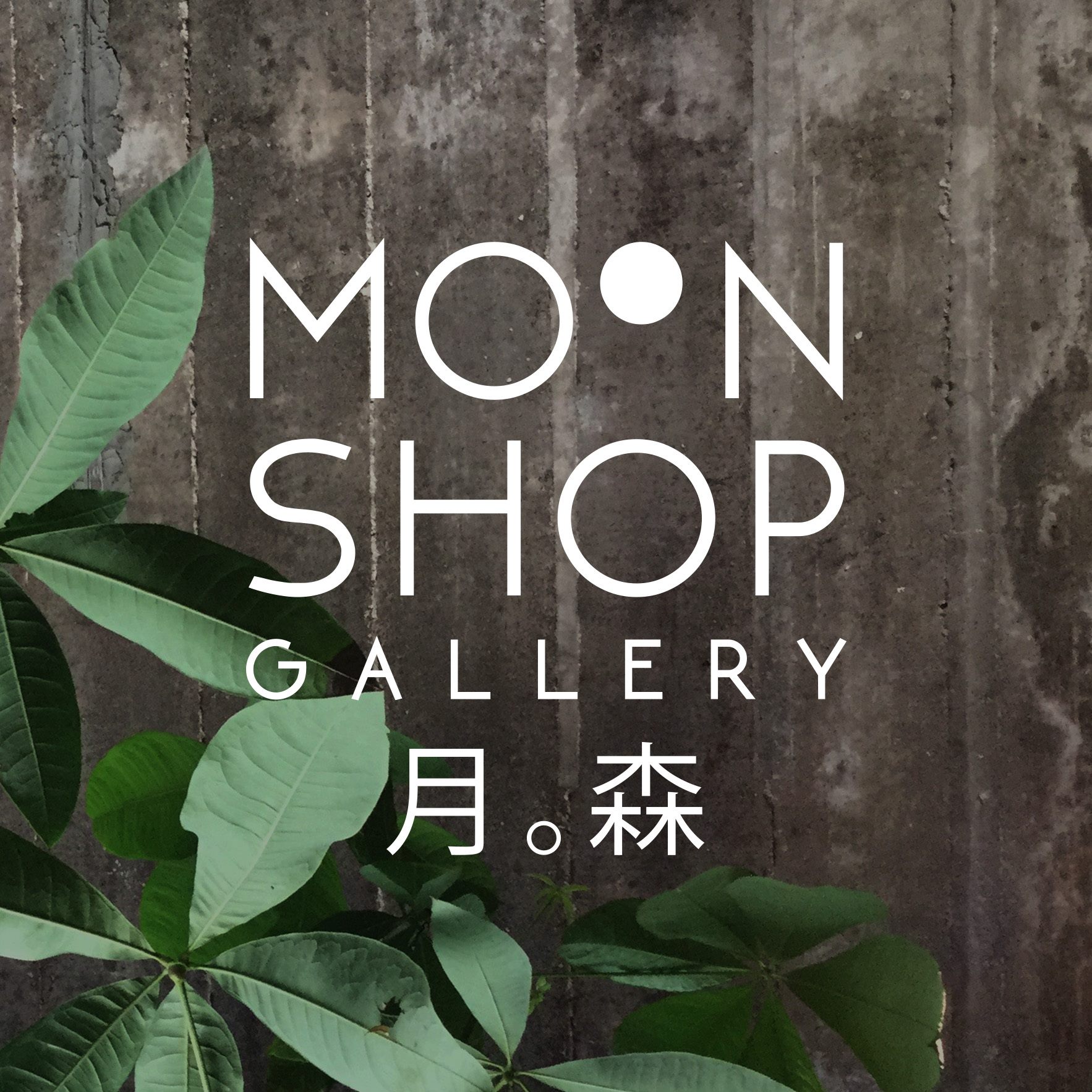 Moon Shop Gallery
