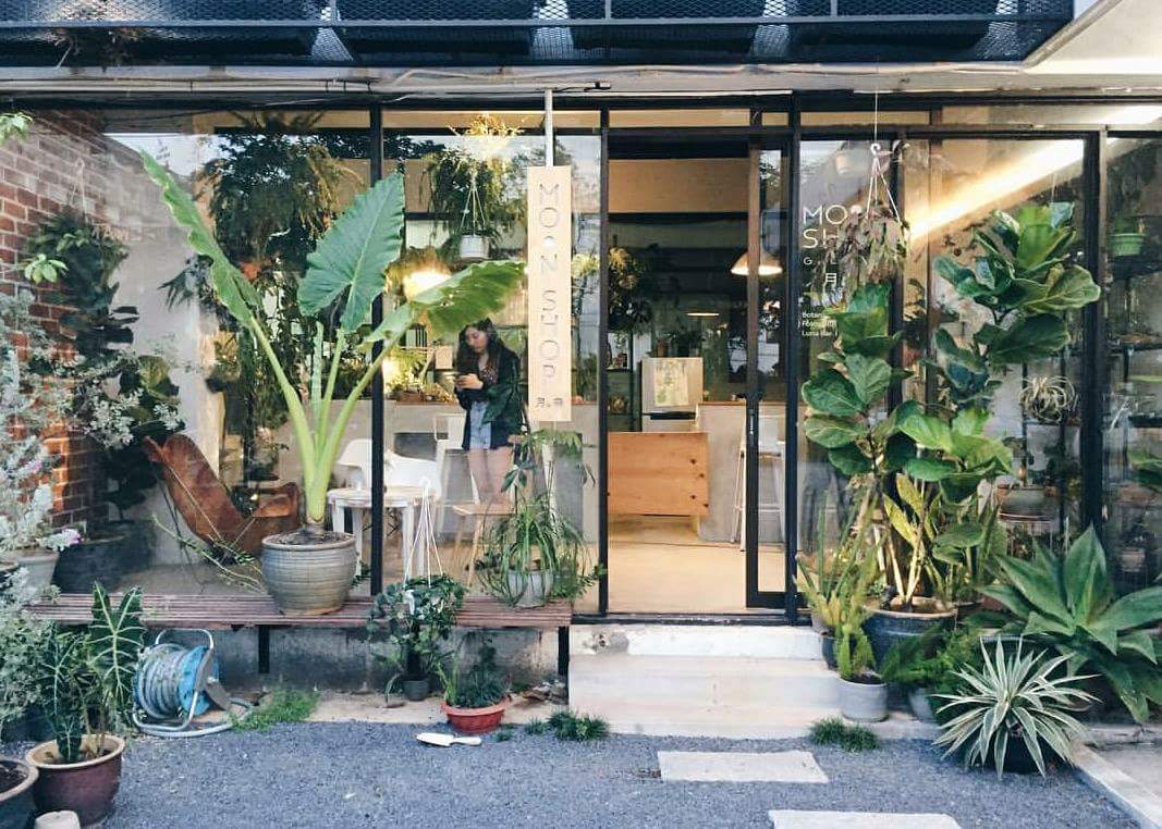 Moon Shop Gallery - Pet-friendly cafe in Penang - Photo 2