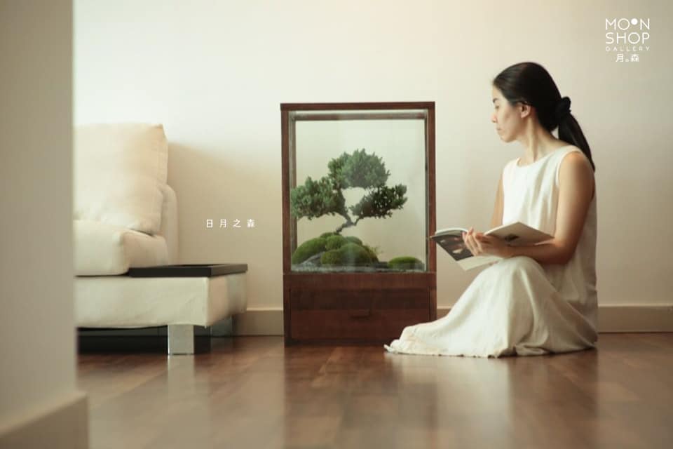 Moon Shop Gallery - Pet-friendly cafe in Penang - Photo 3