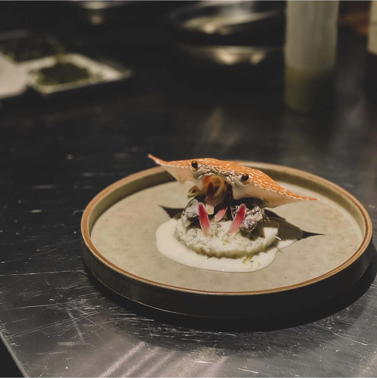 Curios-City Penang - Pet-friendly cafe in George Town - Photo 4