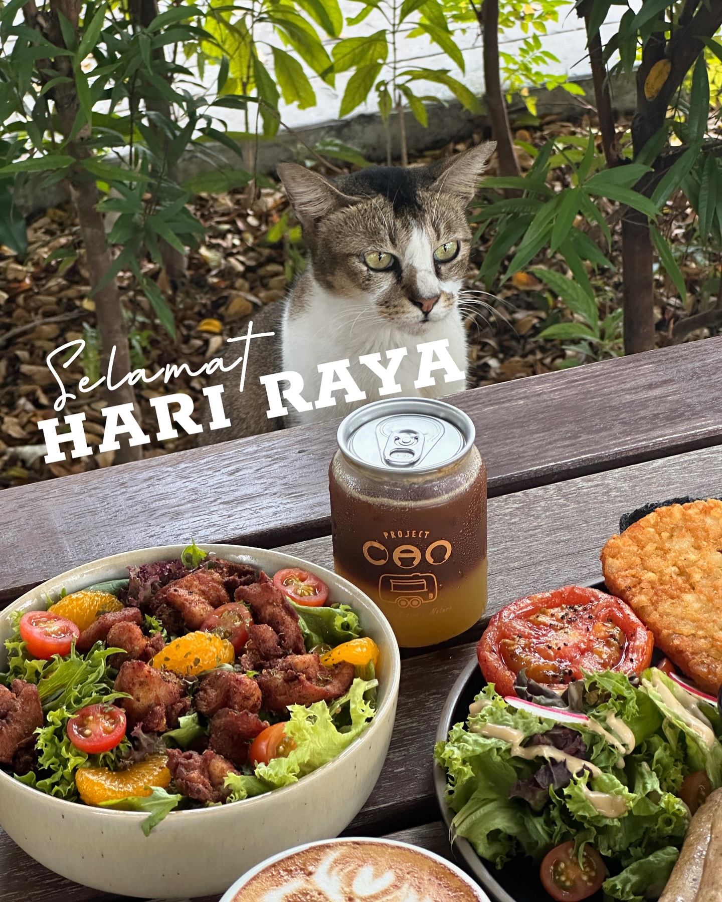 Project CAN @ Lebuh Glugor - Pet-friendly cafe in Jelutong - Photo 3