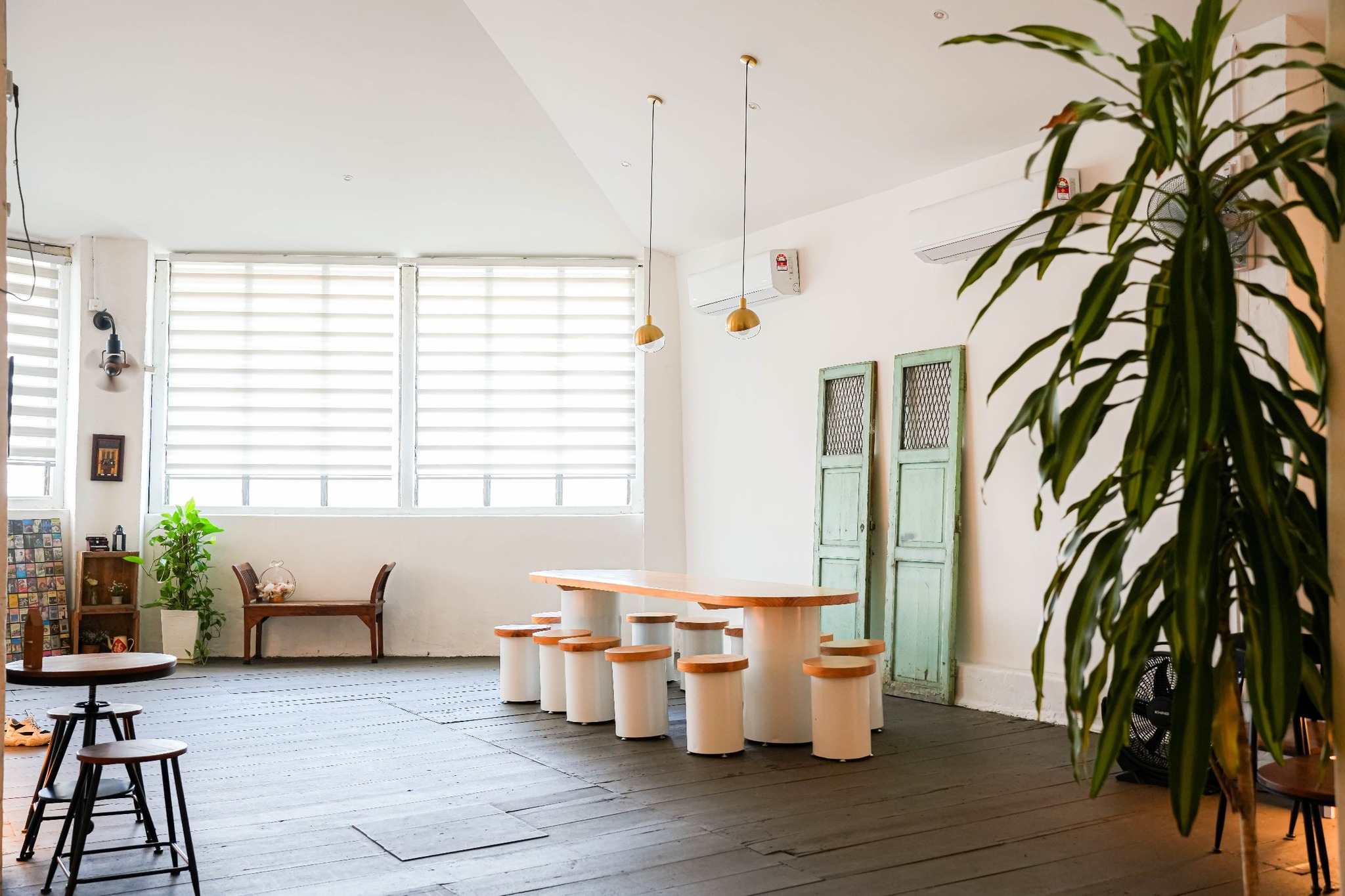 The Ais & Hani (Ice Cream & Coffee) - Pet-friendly cafe in George Town - Photo 3