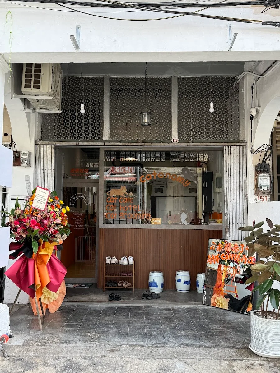 CATONOMY - Pet-friendly cafe in George Town - Photo 2
