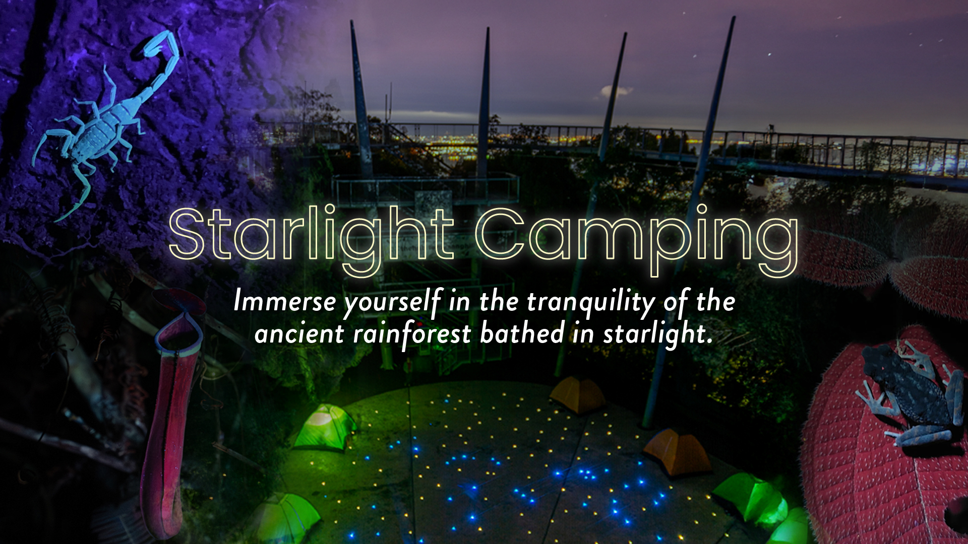 Starlight Camping — The Habitat Penang Hill - Campsite in Penang Hill - Photo 1