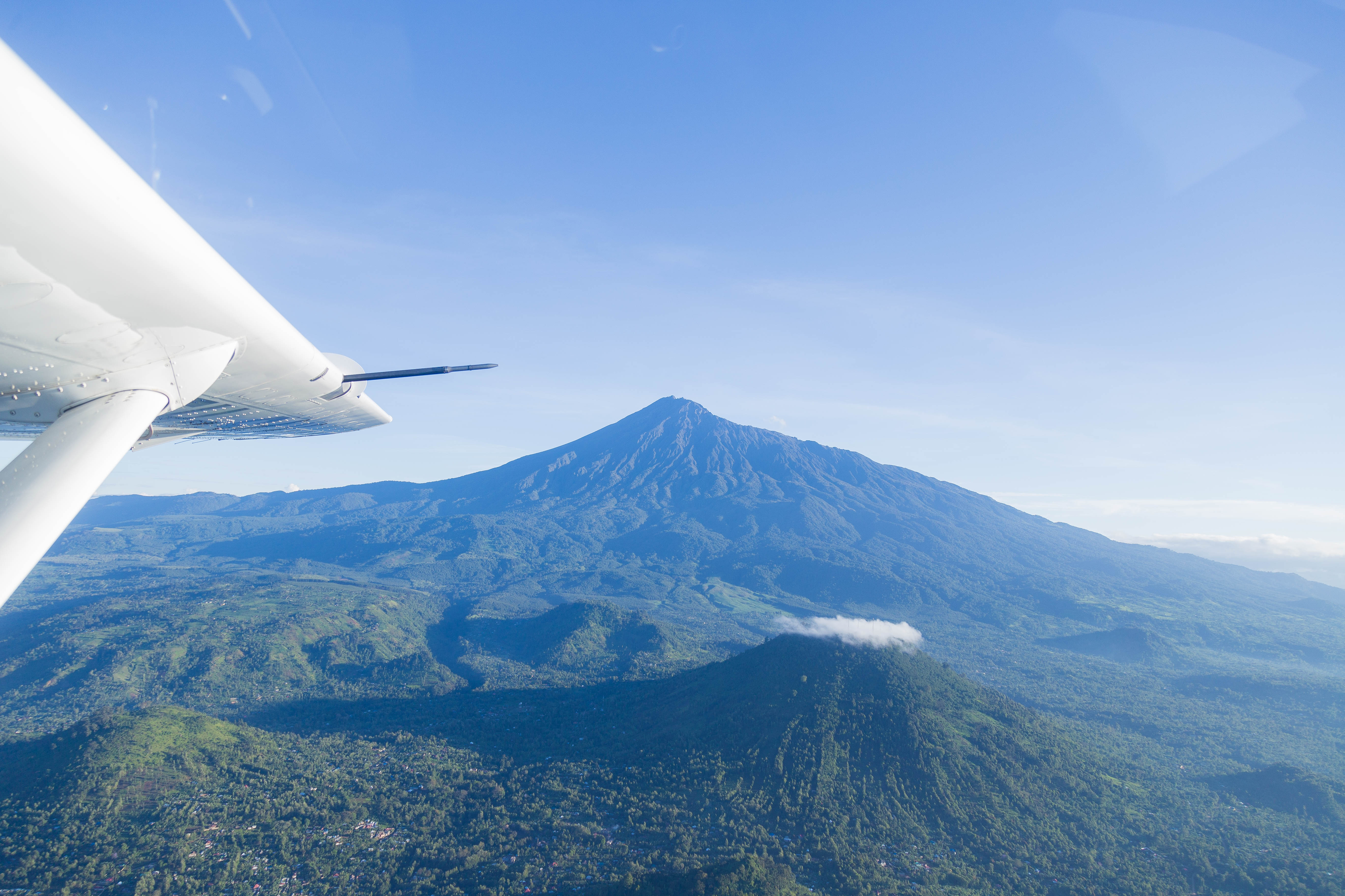 Aerial view of lush green Tanzanian forest, representing carbon offsetting.