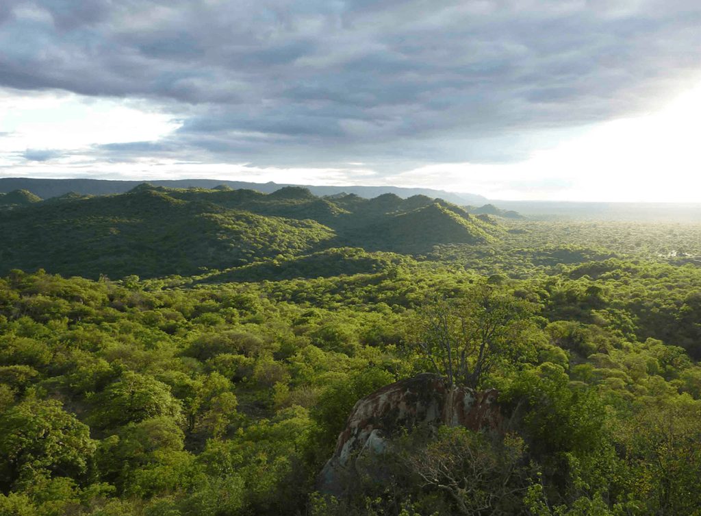 Hadza community members in the Yaeda Valley.