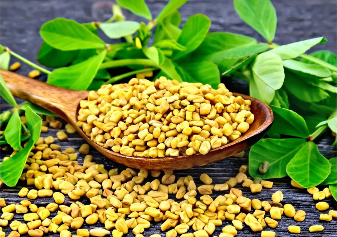 Fenugreek Seeds