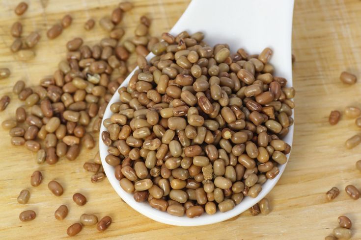 Moth (Brown Beans)